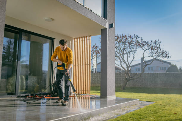 Best Roof Cleaning and Mildew Removal in Sigourney, IA